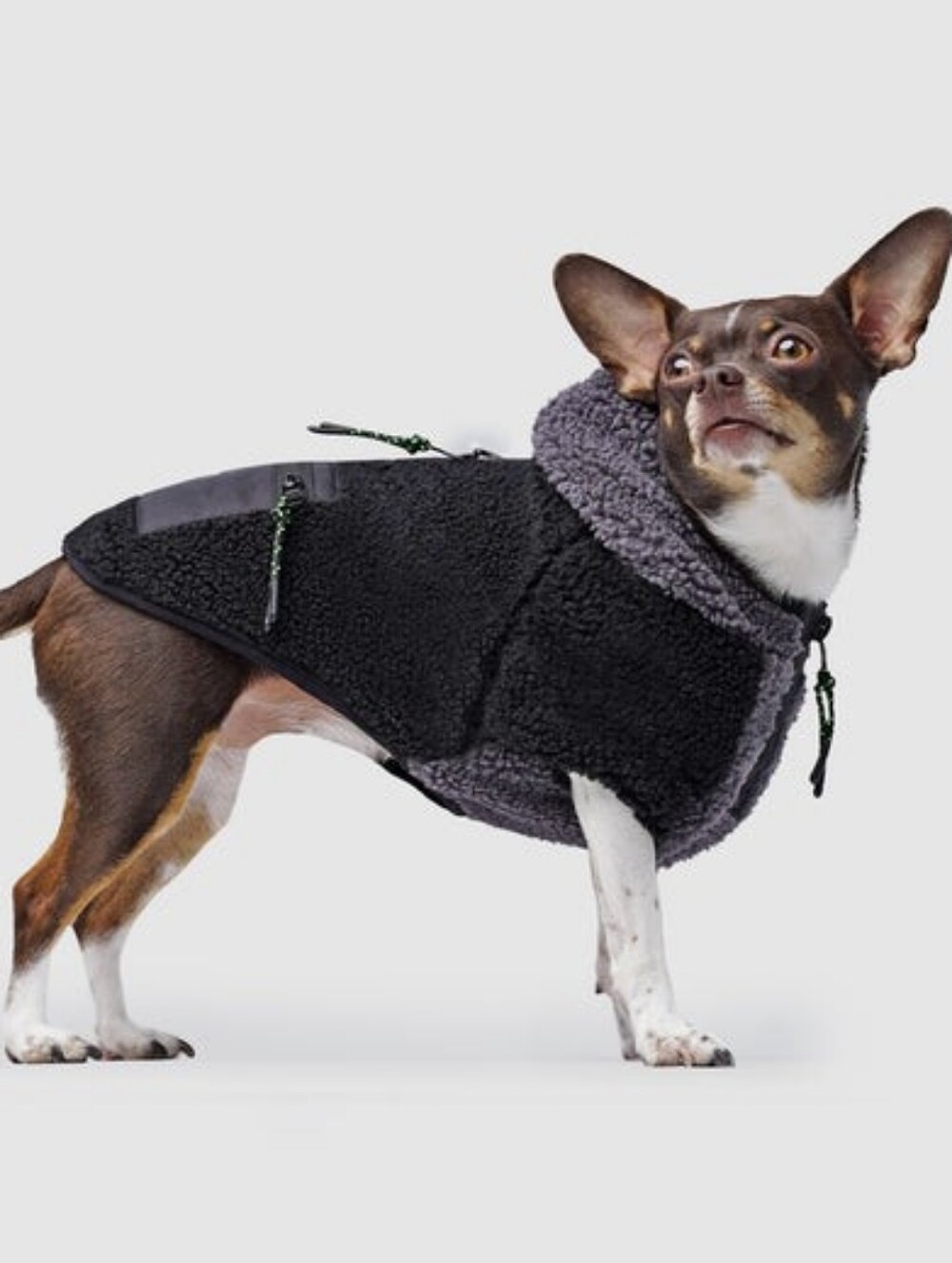 Canada Pooch Black Sherpa Dog Hoodie